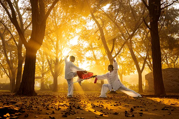 長三角這9條美麗鄉村休閒旅遊行（秋季）路線，你走過幾條？