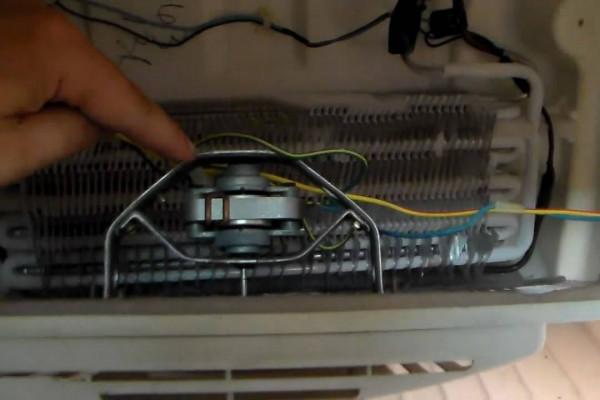 風冷冰箱一定好用嗎?我花2000元買了颱風冷冰箱,現在正準備退貨 風冷冰箱一定好用嗎?我花2000元買了颱風冷冰箱,現在正準備退貨