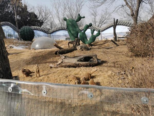 動物園裡那些瞬間