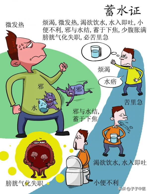 全本《傷寒論》高畫質漫畫版——簡單、好看、好掌握 全本《傷寒論》高畫質漫畫版——簡單、好看、好掌握