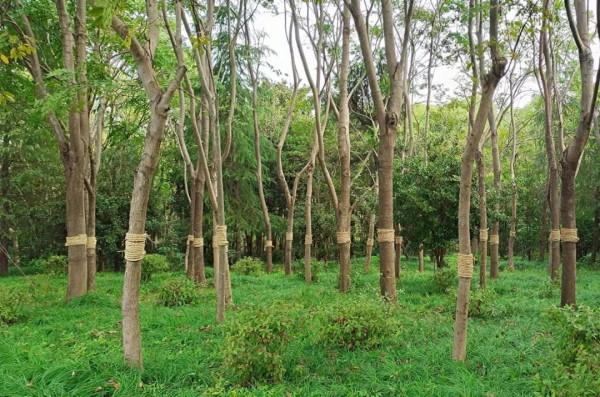 這點小心機少不了