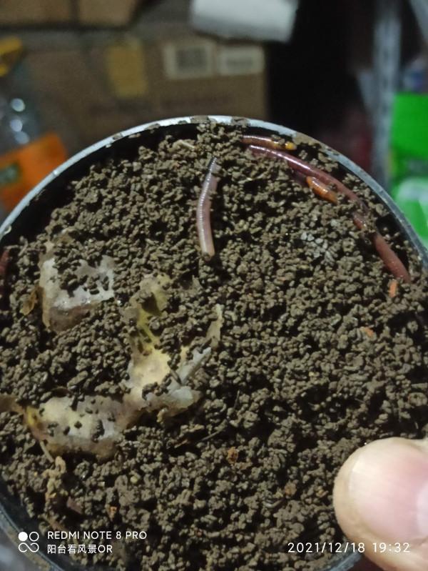 釣魚人的智慧無窮無盡,地下室秒變複式倉庫 釣魚人的智慧無窮無盡,地下室秒變複式倉庫