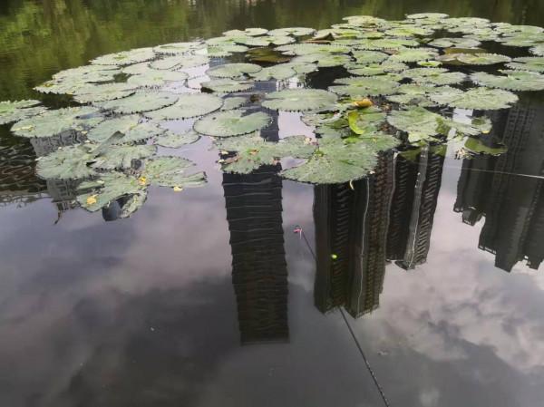 聊聊微物釣法釣小魚