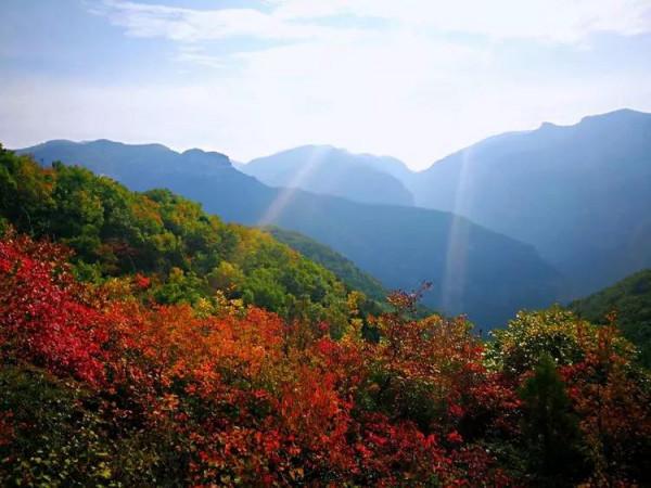 太行山最美的秋色在這裡