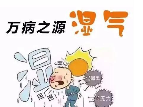 喜靜少動，溼氣重，痰溼體質，你是嗎？