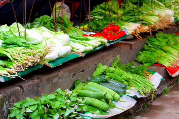 北方人去雲南逛菜市場，一個菜都不認識，本地人：我自己也認不全