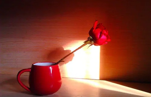 夜讀：在複雜的世界裡，做個簡單的自己