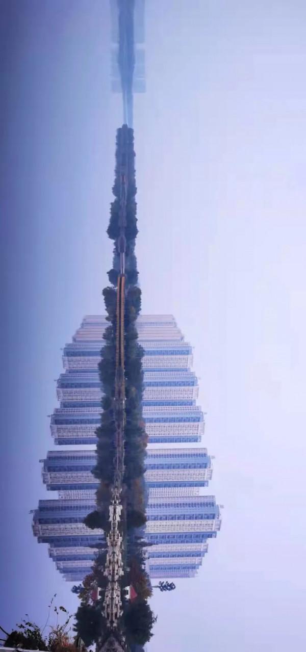 海陽溼地公園的“冬之美”