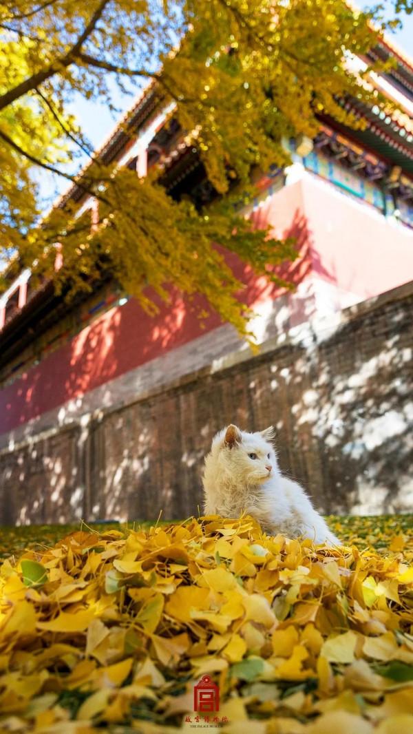 中國最美的50個地方,我竟然只去過10個,你呢? 中國最美的50個地方,我竟然只去過10個,你呢?