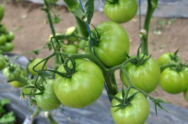 妻子離世8年，岳母臨終前把300萬拆遷款給了女婿：我死也瞑目