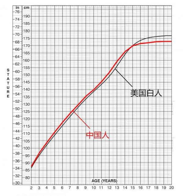 關於東亞人身高:發育成長的終點 關於東亞人身高:發育成長的終點