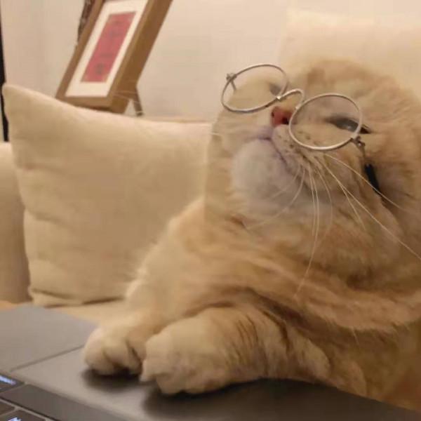 文案｜現在的生活沒有不開心 也沒有開心