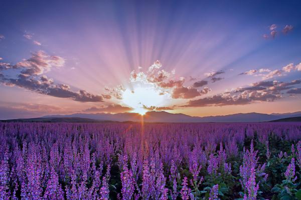 多少人的夢想!湖南姑娘用5年,在新疆禾木打造了個絕美花園 多少人的夢想!湖南姑娘用5年,在新疆禾木打造了個絕美花園