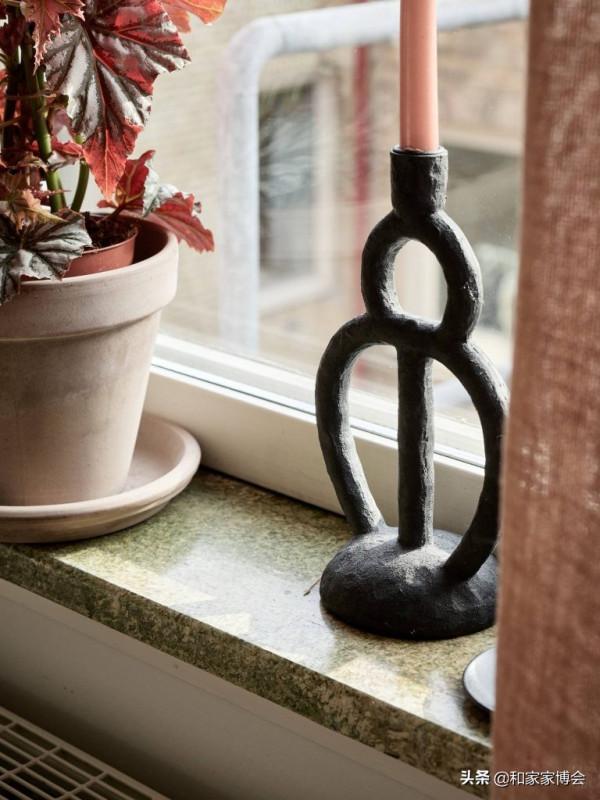 為家裡添一抹綠色調，感受四季如春的溫暖氣息