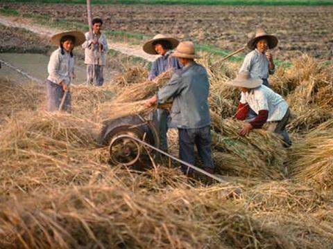 她一輩子沒有再嫁人，獨自拉扯兩個孩子，這個女人不容易