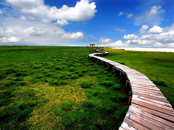 看得我自己都哭了 看得我自己都哭了