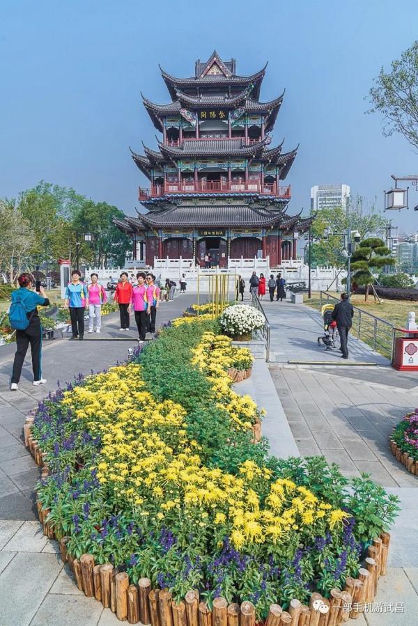 秋遊賞菊,品茗看展,好天氣就出門這樣玩 秋遊賞菊,品茗看展,好天氣就出門這樣玩