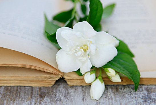 人老了,想要安度晚年,需要擁有以下“四個依靠” 人老了,想要安度晚年,需要擁有以下“四個依靠”