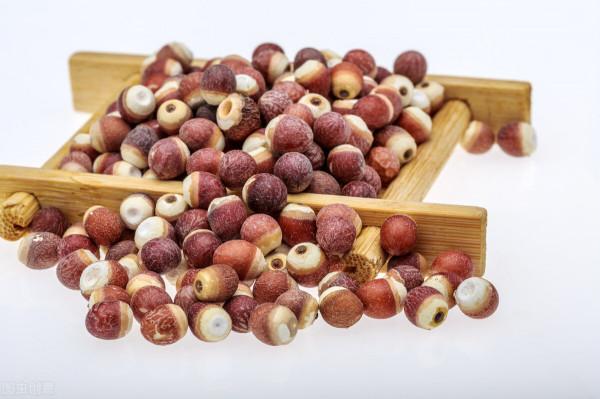 健脾養胃去溼氣配方，無溼一身輕