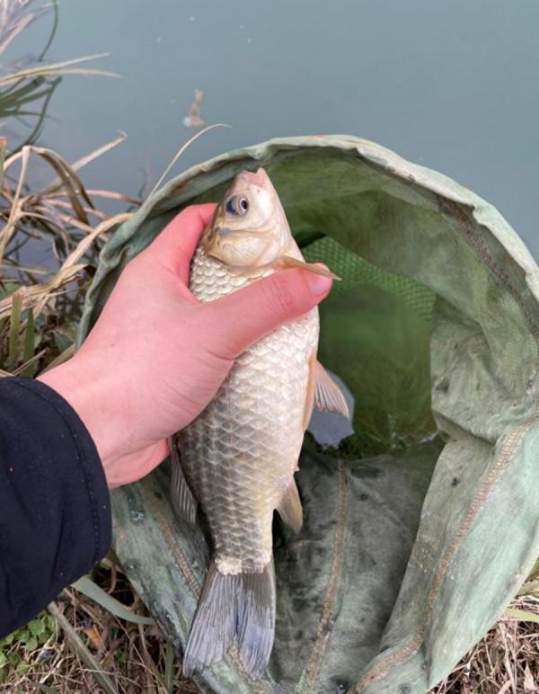 冬季釣不到魚別怪天氣不好，注意這幾點，再冷的天也有魚口