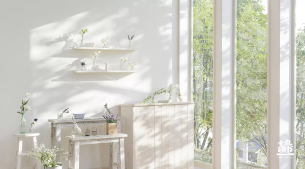 你的情緒習慣,決定你的人生觀 你的情緒習慣,決定你的人生觀