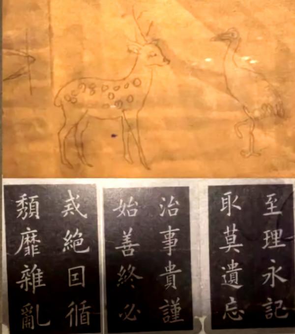 從出生就入獄,8年牢獄生活從未嘗過糖果的味道,犧牲前身中數刀 從出生就入獄,8年牢獄生活從未嘗過糖果的味道,犧牲前身中數刀