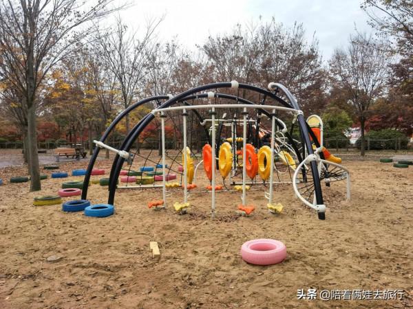 上海花開海上深秋的賞楓之行,醉美楓葉皆秋意,霜葉紅於二月花 上海花開海上深秋的賞楓之行,醉美楓葉皆秋意,霜葉紅於二月花