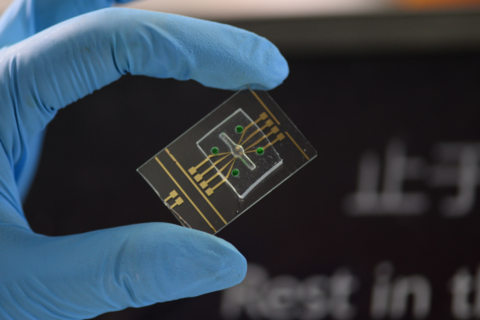 新突破!我國科學家把校訓存入DNA序列 新突破!我國科學家把校訓存入DNA序列