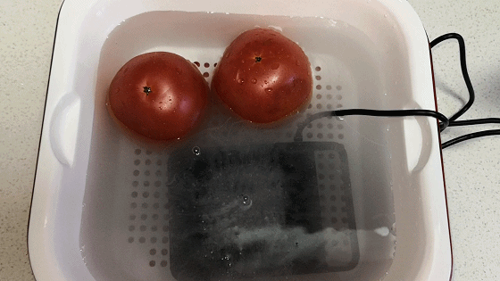 小尼熊淨化消毒機評測：科技守護我們的健康