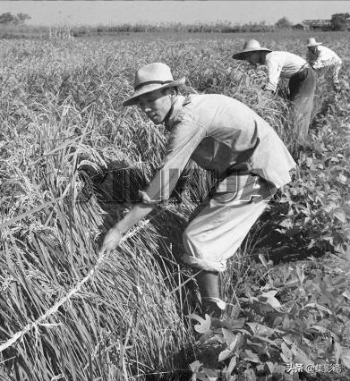 江陰市六七十年代老照片