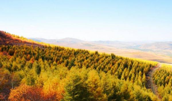 別辜負!河北最美秋景已上線 別辜負!河北最美秋景已上線