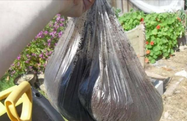 養花不用買肥料，把廚餘垃圾“囤起來”發酵，就是養花的好材料