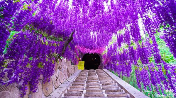 從前有座山，叫虎山；山裡有條溝，叫金葫蘆溝：溝旁有個洞叫？