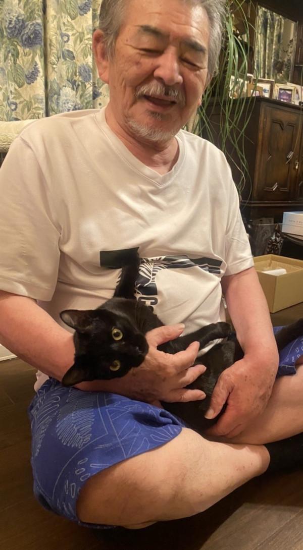 日本老爺爺救回一隻被烏鴉攻擊的小黑貓，擼貓半年人都變年輕了