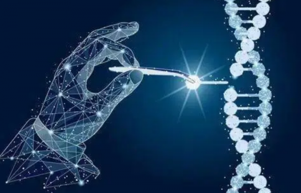 著名肉牛一天能長3斤肉,肌肉發達肉質細膩,為何我國不引入呢? 著名肉牛一天能長3斤肉,肌肉發達肉質細膩,為何我國不引入呢?