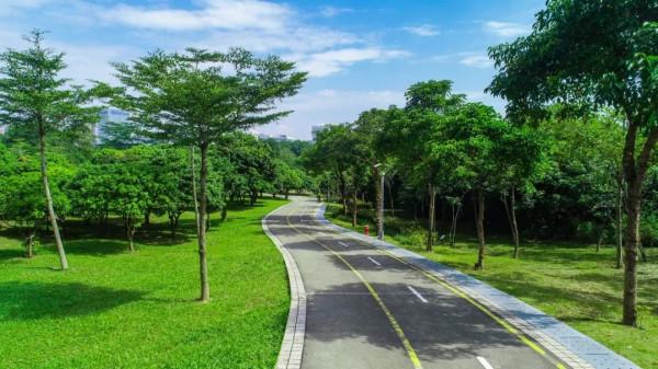 人間四月天，在坪山眼見皆美好