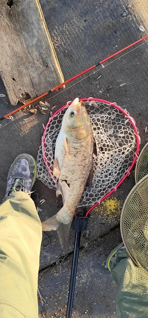 忙裡偷閒,筏釣網箱 忙裡偷閒,筏釣網箱