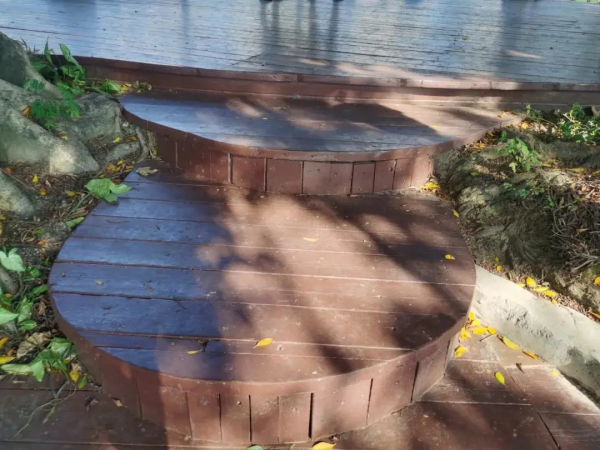 好久不見,中山公園又有哪些新變化 好久不見,中山公園又有哪些新變化