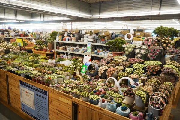1小時飛攏的城市,有全國最好逛的市場 1小時飛攏的城市,有全國最好逛的市場