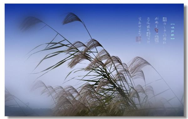 光武帝劉秀和他的成語故事