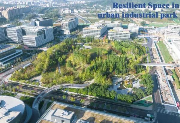 好風景就在家門口！石景山眾多高顏值公園連獲國際大獎