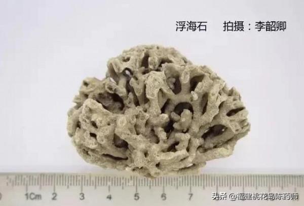 分享李紹卿老師拍攝的三十四種動物藥