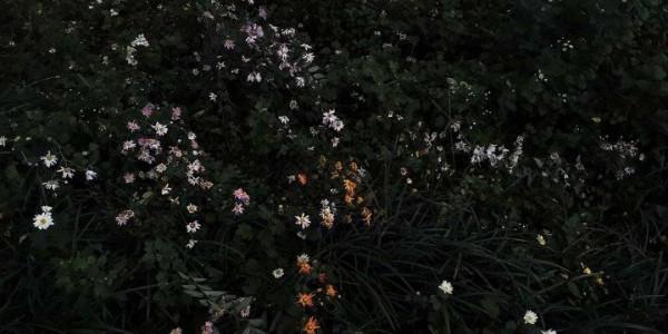 “白天不懂夜的黑”