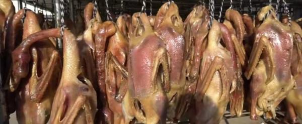 安徽大哥賣鹹肉年收入達6000萬，一天用掉5噸鹽，號稱最牛小作坊