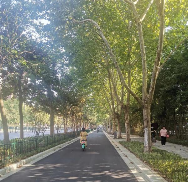 對未來5年的預期,不亞於專家的分析 對未來5年的預期,不亞於專家的分析