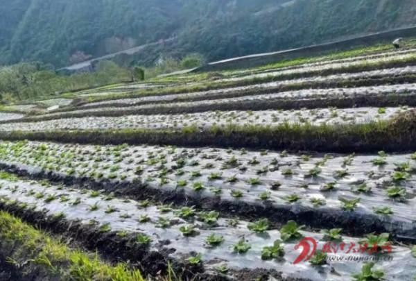 永拉嘎村：立足治理創新 引領產業發展