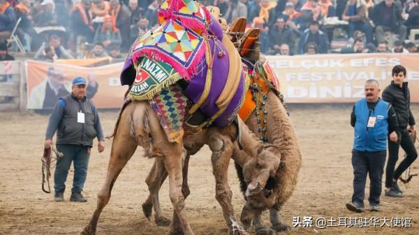 土耳其文化的終極清單