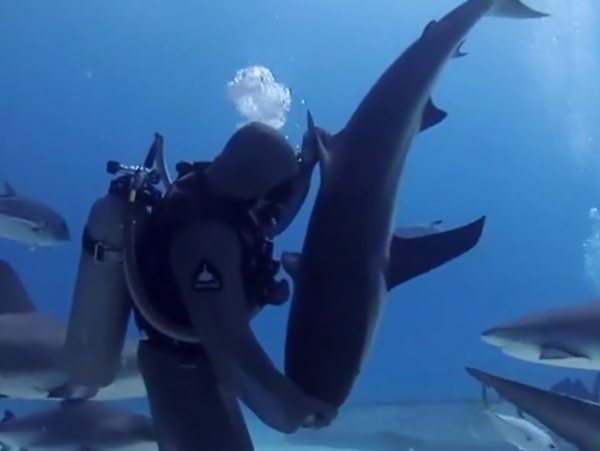 真實故事:印度58歲大爺被雷劈,全身都可發電,甚至可以烤熟雞腿 真實故事:印度58歲大爺被雷劈,全身都可發電,甚至可以烤熟雞腿