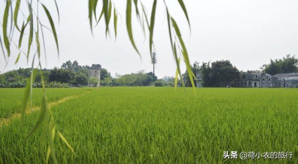 中國最熱門的3大景點，美得耐人尋味，每一個都值得去