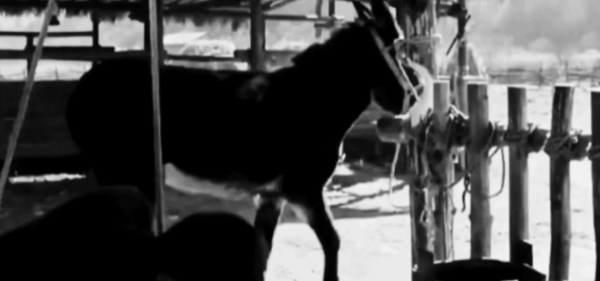 河北老農隱居農村被栽贓,一封檔案暴露身份,原來他是特等功臣 河北老農隱居農村被栽贓,一封檔案暴露身份,原來他是特等功臣